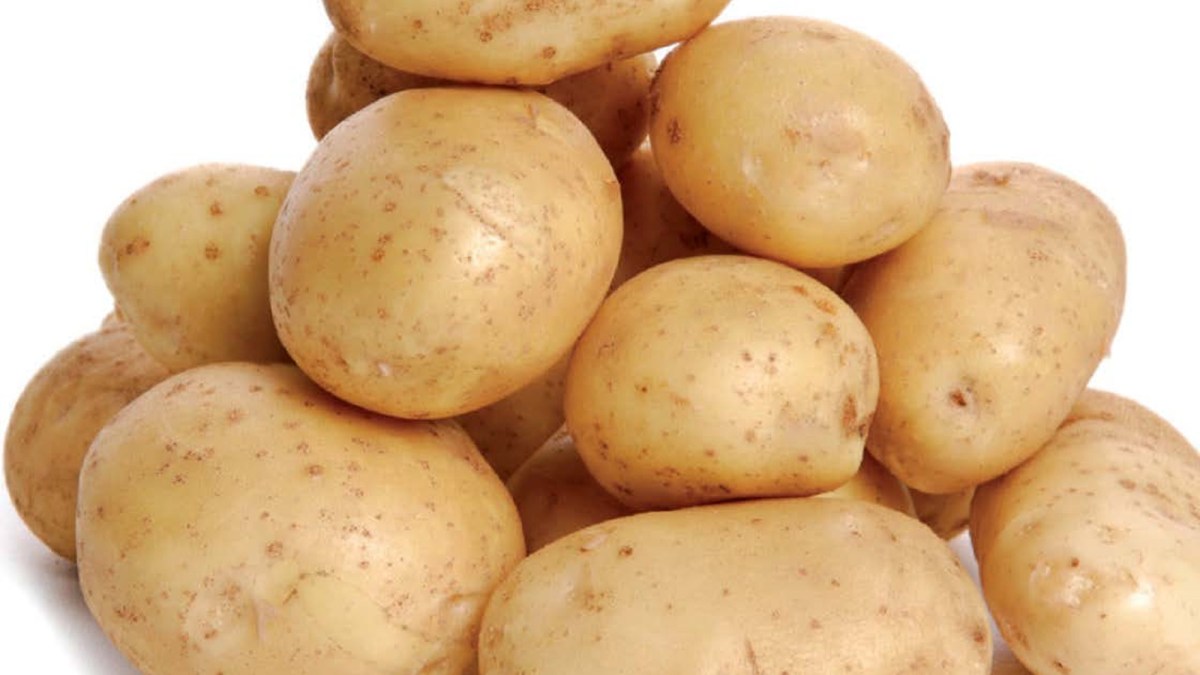 1,4SIGHT anti germe de pomme de terre BASF — free download