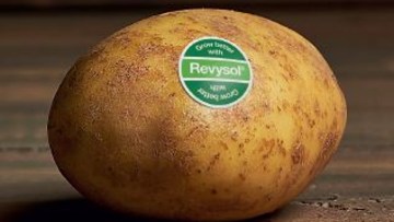 NOUVEAU Revysol® en pommes de terre