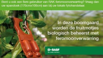 Feromoonverwarring is heel belangrijk voor de Belgische fruitteelt