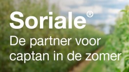Minder captan, het kan mits een goed plan!