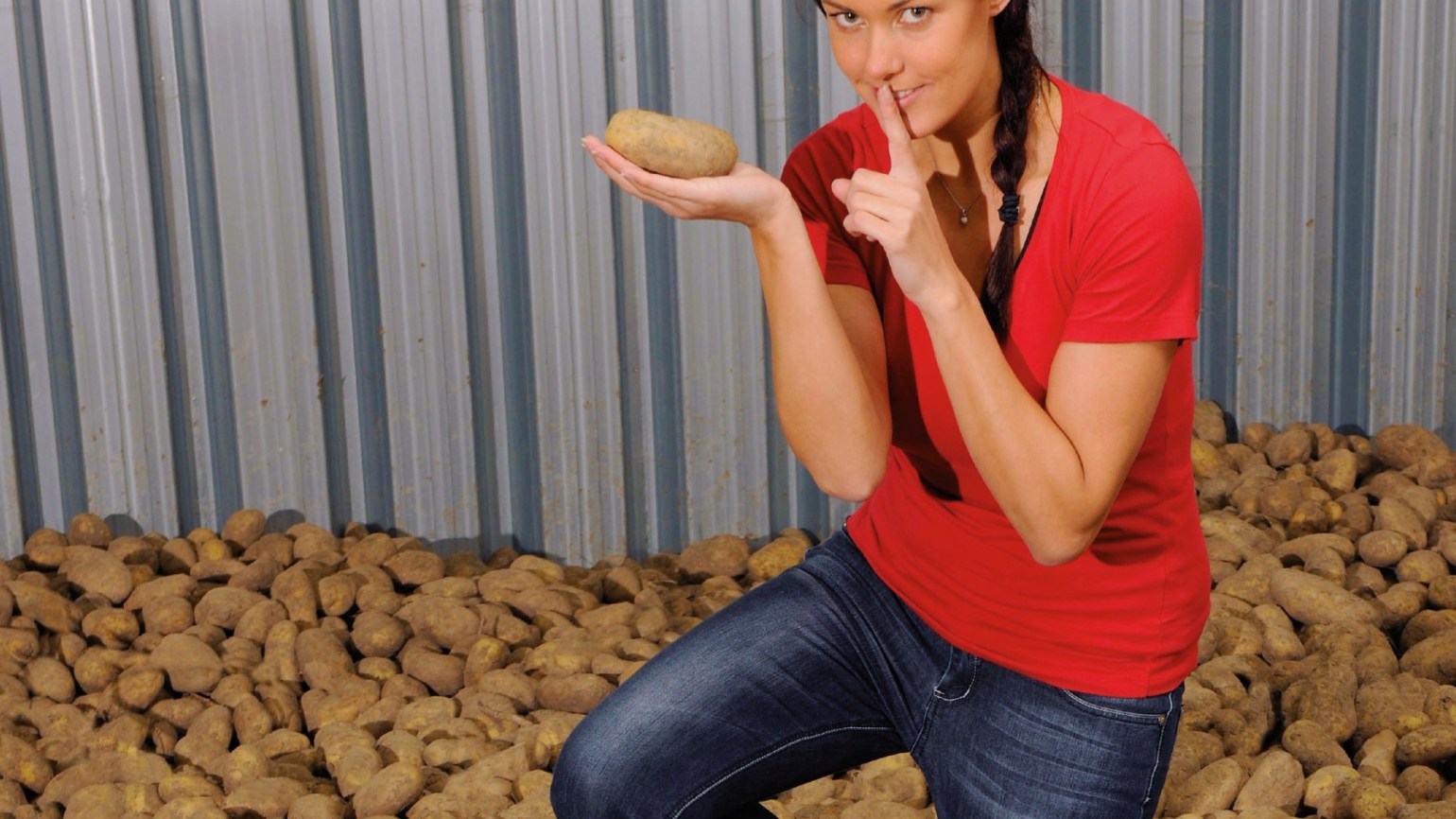 1,4SIGHT anti germe de pomme de terre BASF — free download