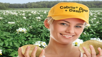 Cabrio® Duo + Dash® Onbetwistbaar tegen plaag en Alternaria