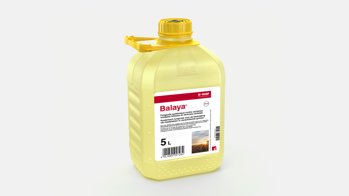 BALAYA® - 58257307