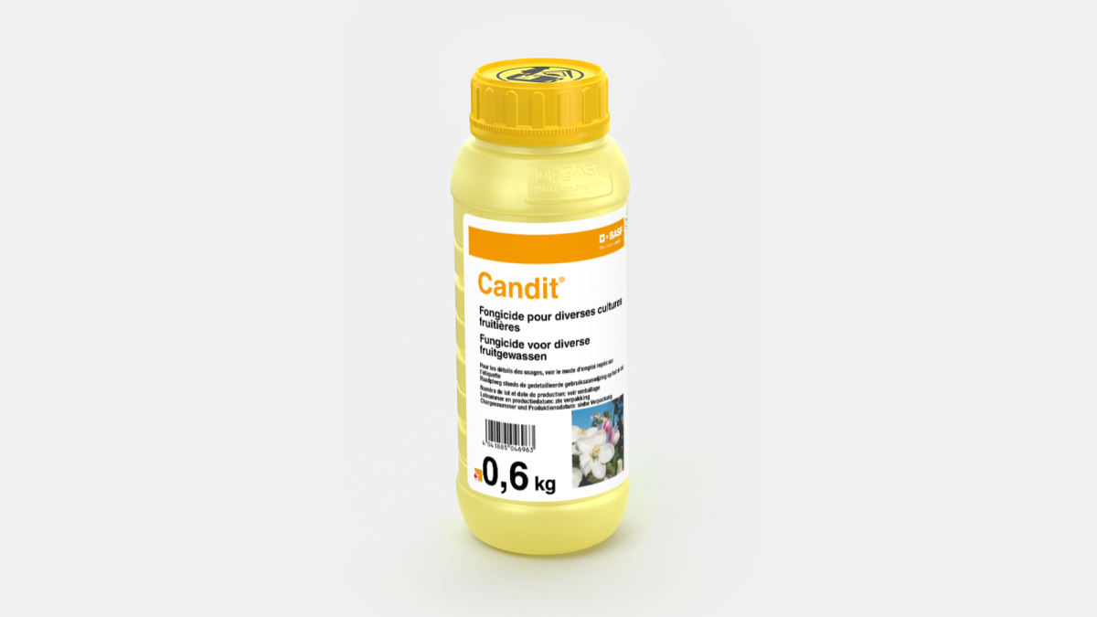 CANDIT® - 58046970