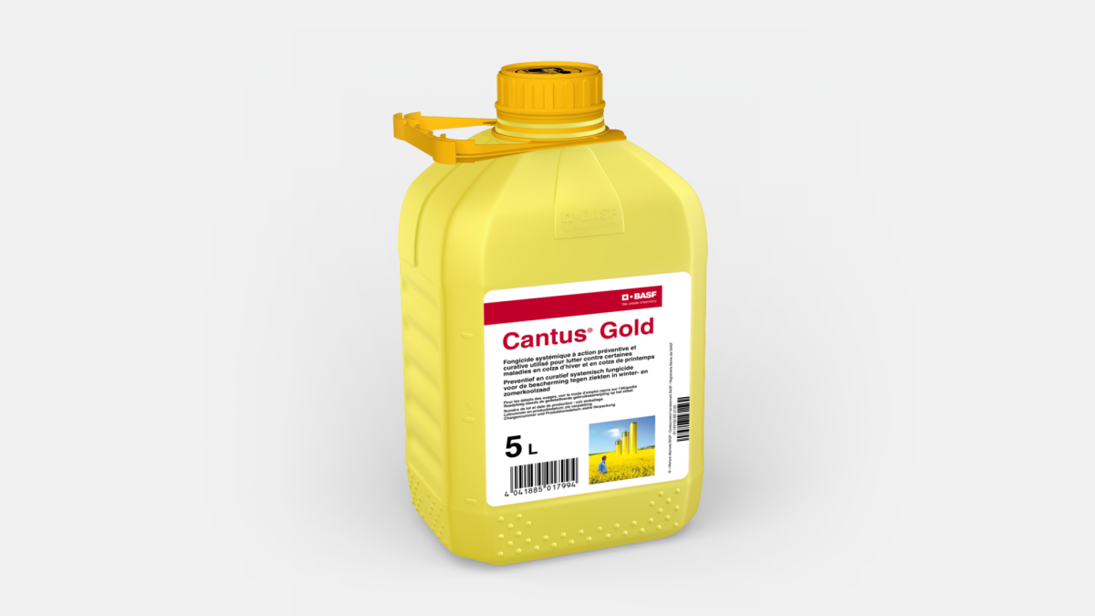 CANTUS® GOLD - 58018007