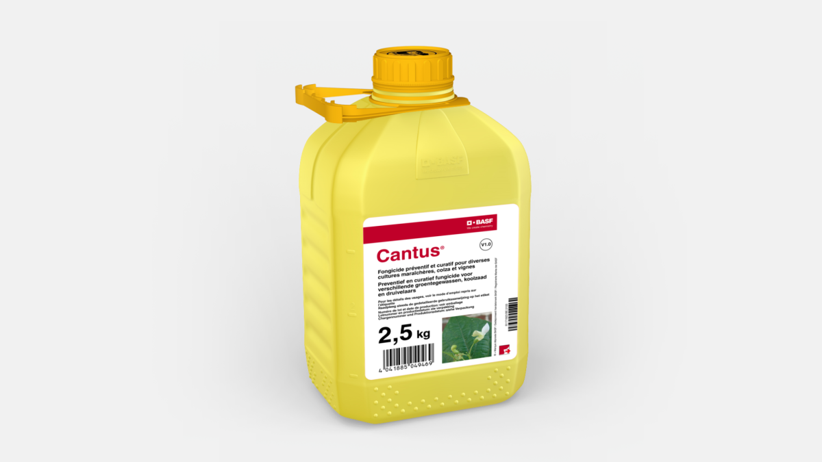 CANTUS® - 58049452