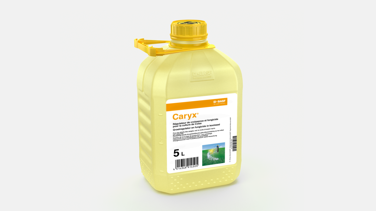 CARYX® - 58914383