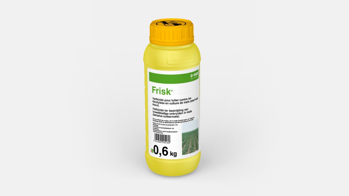 FRISK® - 58095176