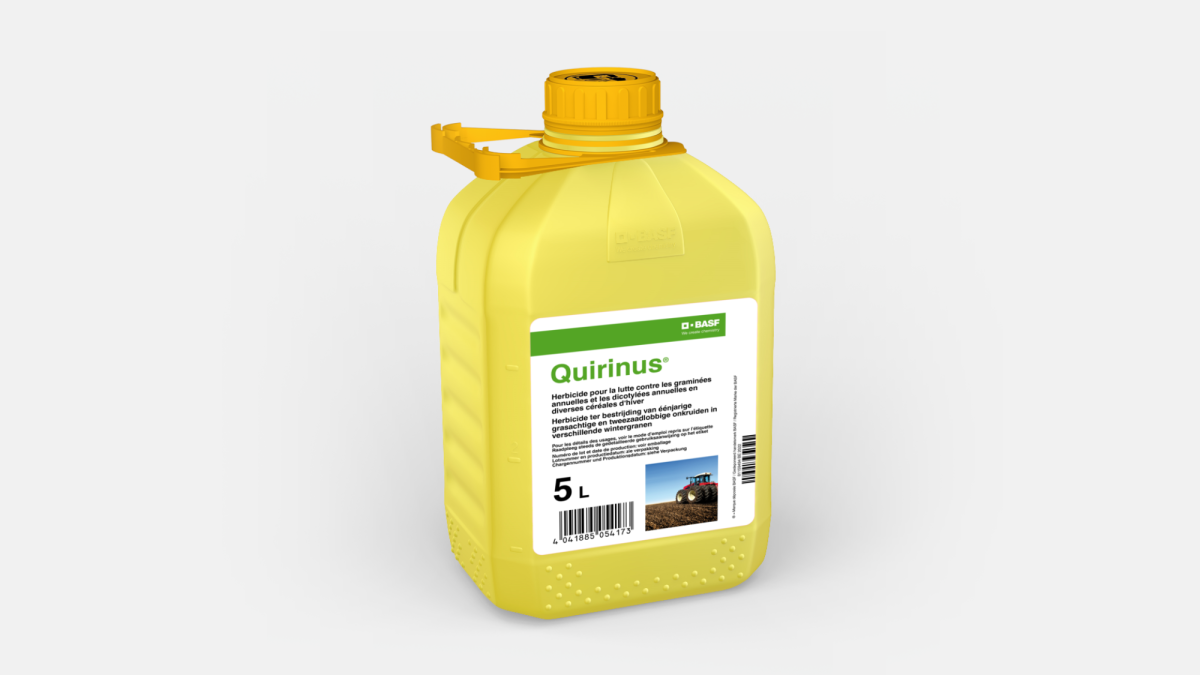 QUIRINUS® - 58054180