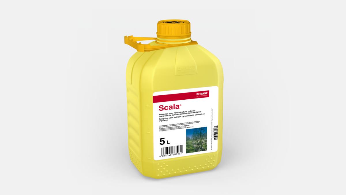 SCALA® - 58687355