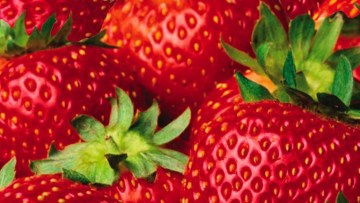 Aardbei